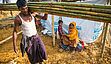Nachwachsend und kompostierbar Im Flüchtlingslager Kutupalong in Bangladesch ist Bambus einer der wichtigsten Baustoffe. Als nachwachsender und kompostierbarer Rohstoff, sind die stabilen und trotzdem leichten Bambusstangen auch aus ökologischer Sicht als Baumaterial sehr gut geeignet.

