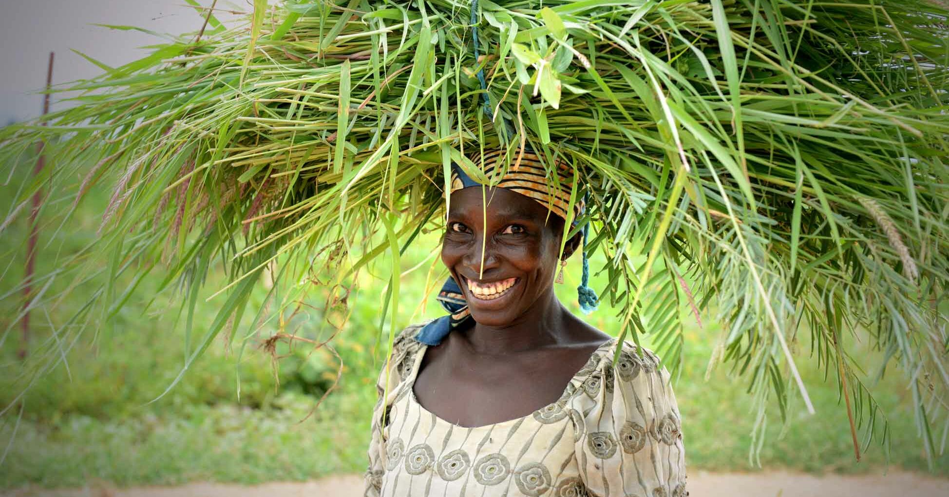 Afrikanerin mit Graspaket auf dem Kopf Umwelt_RF2129478.jpg