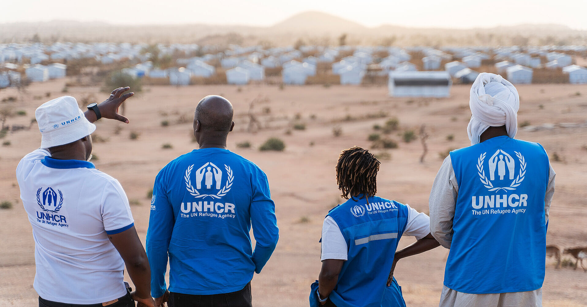 Vier UNHCR-Mitarbeiter*innen von hinten, schauen auf eine Landschaft mit Zelten. RF1428139_20250308_AK404104.jpg