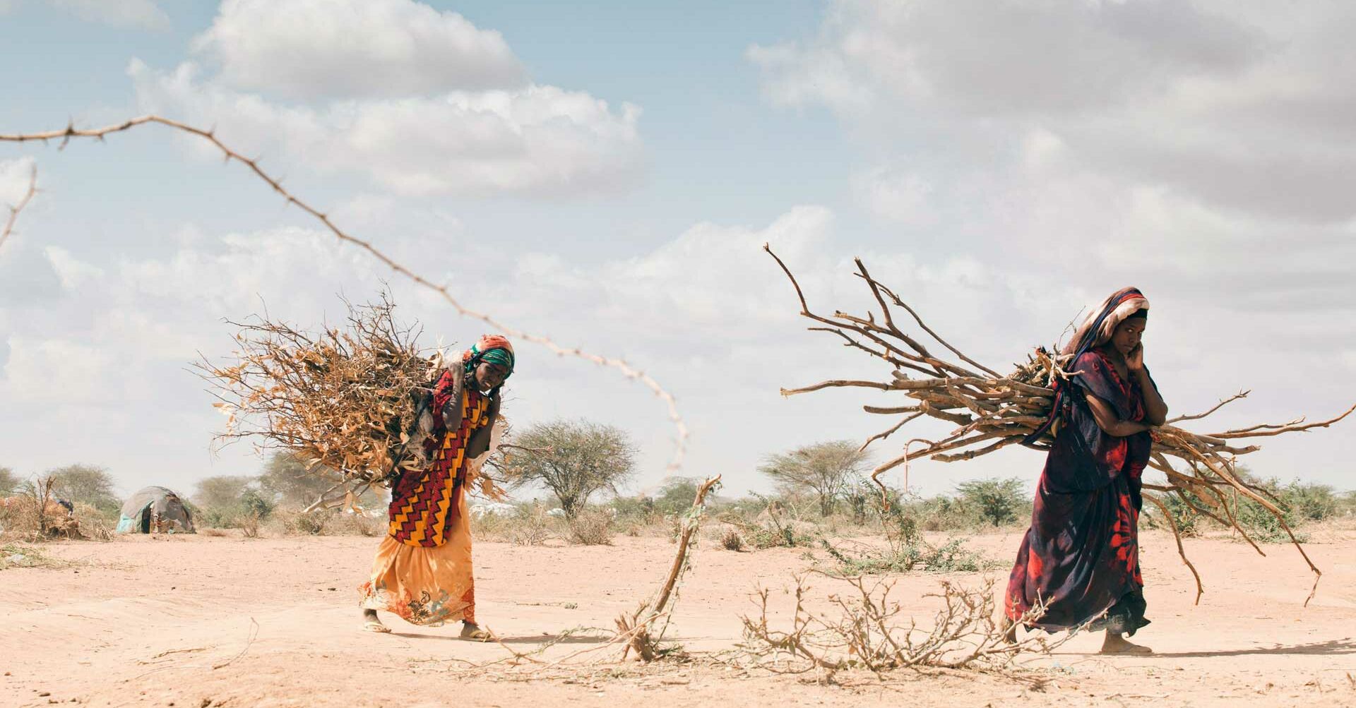 Wüste Frauen tragen Holz, Klimawandel  RF167348-1920x1080.jpg