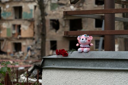 Ein Teddybär mit roten Rosen auf einem Gemäuer vor zerstörten Häusern 