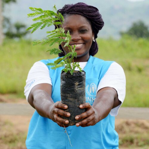 UNHCR-Helferin mit Pflanze