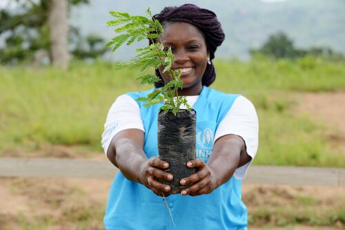 Unternehmenkooperation, UNHCR Helferin mit Pflanze, Baum Sätzling