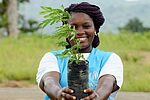 UNHCR-Mitarbeiterin mit Pflanze