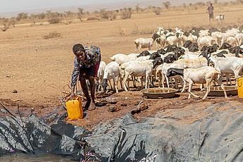 Ein Junge schöpft mit einem Kanister Wasser aus einer Grube, hinter ihm steht eine abgemagerte Herde Ziegen.