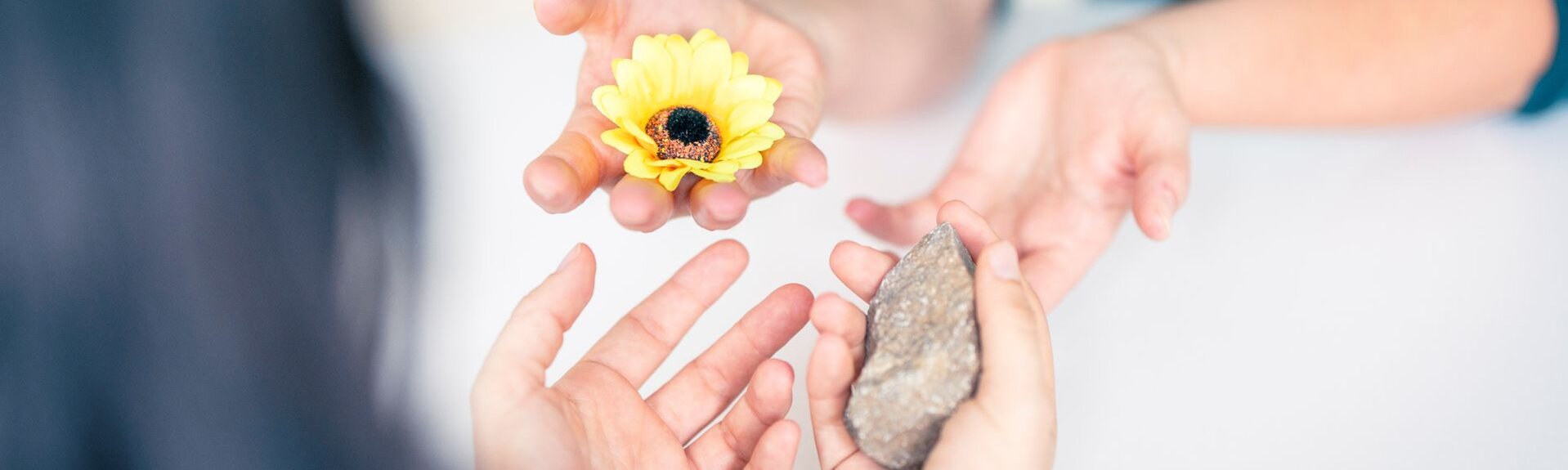 Zei Hände reichen sich einen Stein und eine Blüte im Austausch