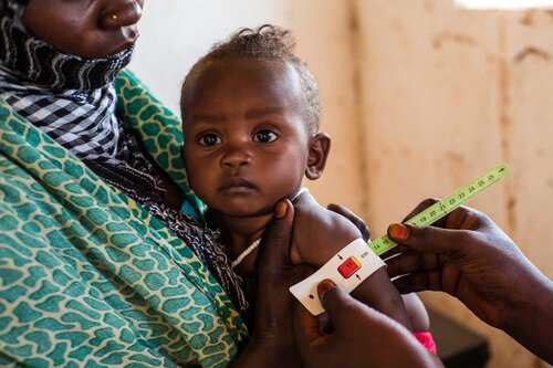 Hunger als Fluchtgrund