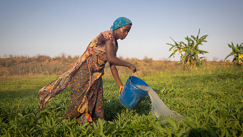 Dorotea wässert ihre Kartoffeln  Dorotea ist aus Burundi geflohen. Die 35-Jährige muss allein sieben Kinder großziehen. In der Nähe der Flüchtlingssiedlung Maratane baut sie auf einem kleinen Feld Kartoffeln an, um ihre Familie zu unterstützen. Der Zyklon Gombe zerstörte nicht nur ihr Haus sondern auch das Kartoffelfeld.

