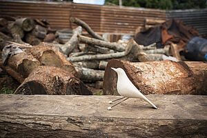 Handgemachte Friedenstaube von einem Kongolesischen Flüchtling in Kenia.