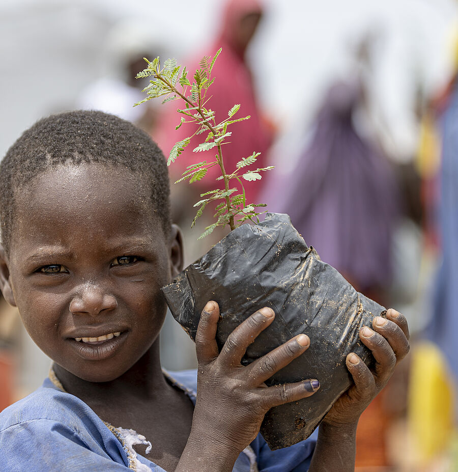 junge mit baum sätzling