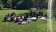 Das Team beim Sommer-Picknick im büronahen Park.