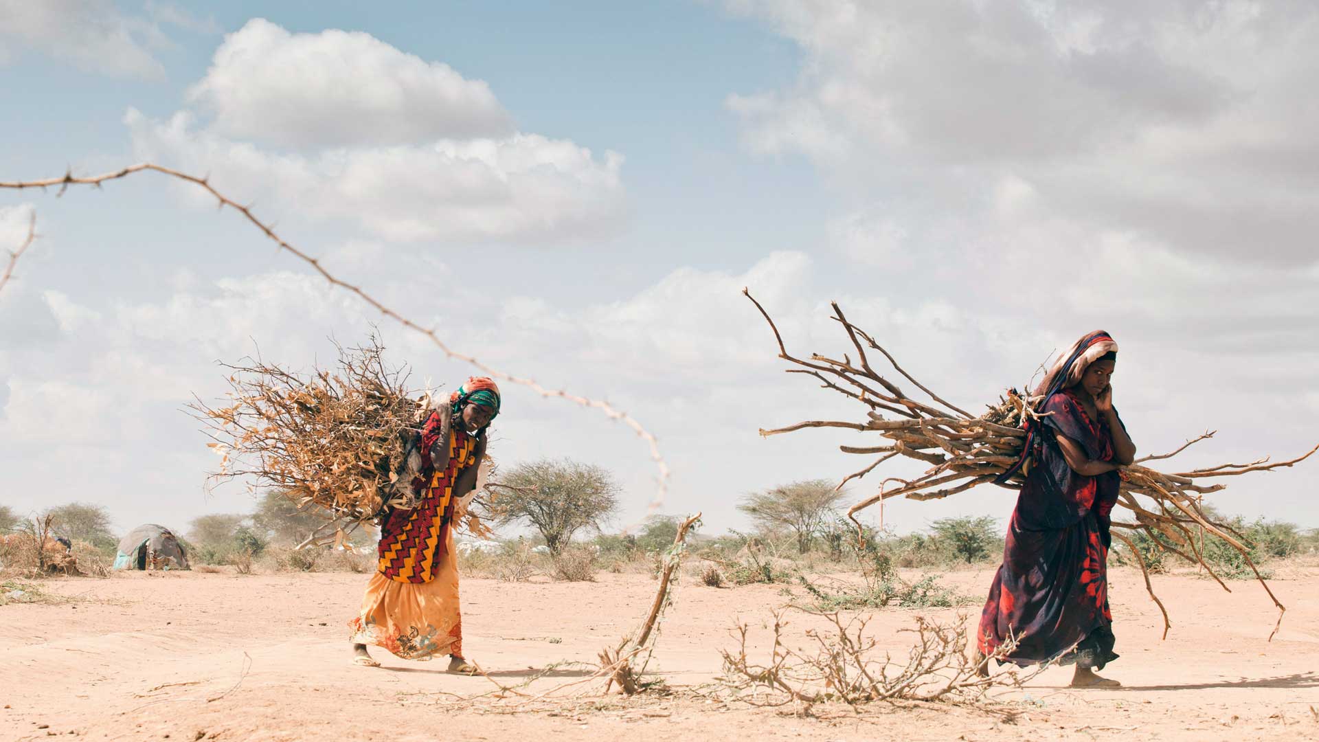 Frauen in der Savanne mit Holz auf dem Rücken