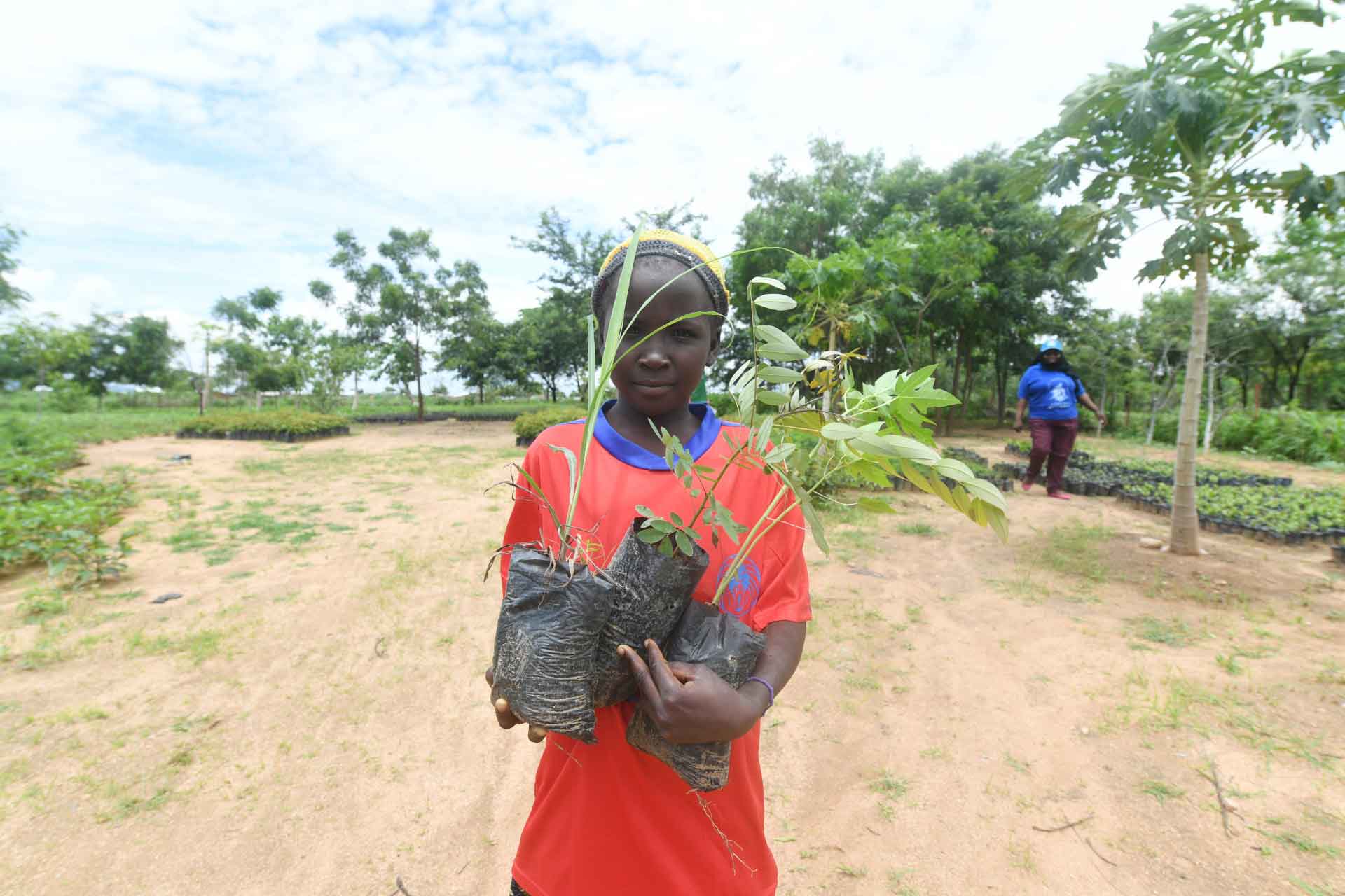 Ein junger Flüchtling kehrt nach Hause zurück, nachdem die Baumschule im Flüchtlingslager Minawao, Kamerun, Jungpflanzen verteilt hat. Das Projekt "Make Minawao green again" zielt darauf ab, die Entwaldung im Lager und den umliegenden Dörfern rückgängig zu machen. 