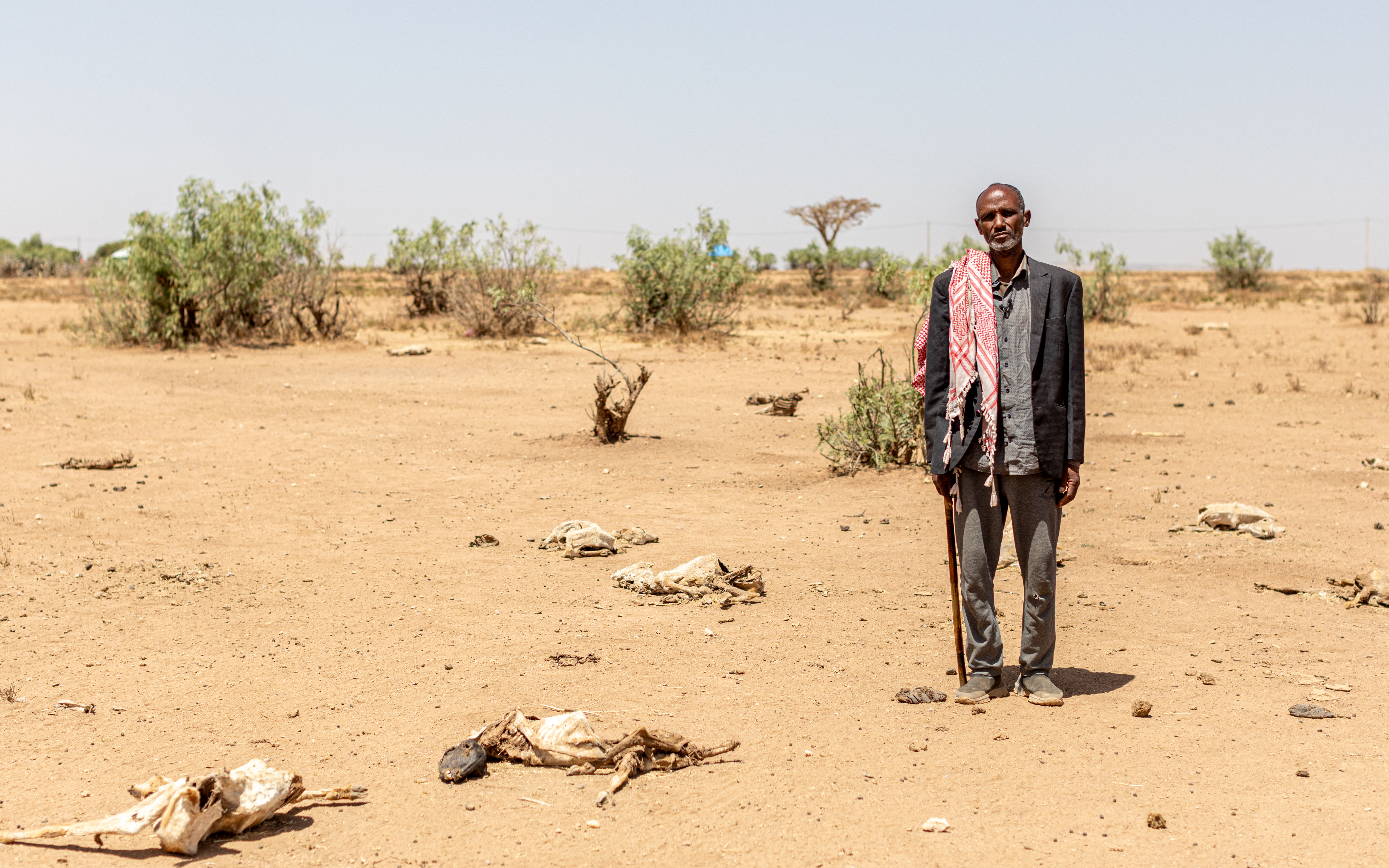 Ein Binnenvertriebener aus Äthiopien steht inmitten einer verdorrten Landschaft, Tierkadaver liegen auf dem Boden